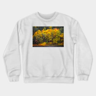 Fall Color along the  Delaware River Crewneck Sweatshirt